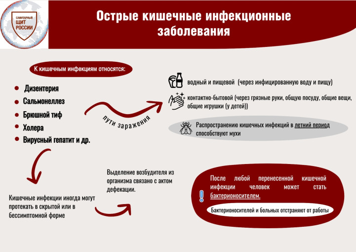 Осторожно! Кишечная инфекция! Осторожно! Кишечная инфекция!.